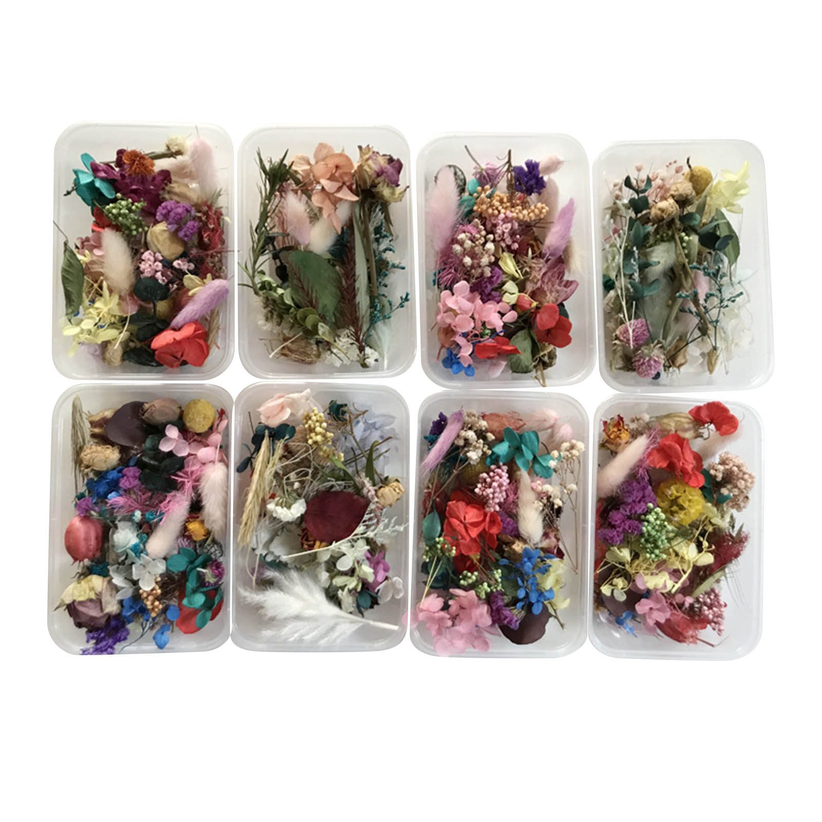 Kit di fiori secchi naturali o - Dried Herbs recensione e prezzo