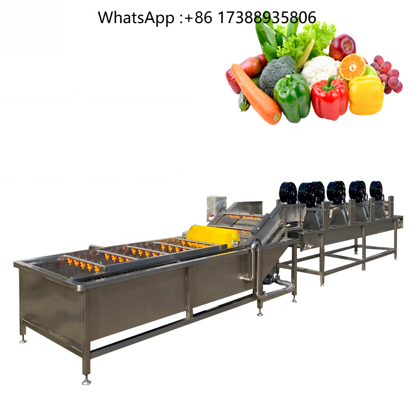 NOVITÀ Macchina Automatica per - Turmeric recensione e prezzo