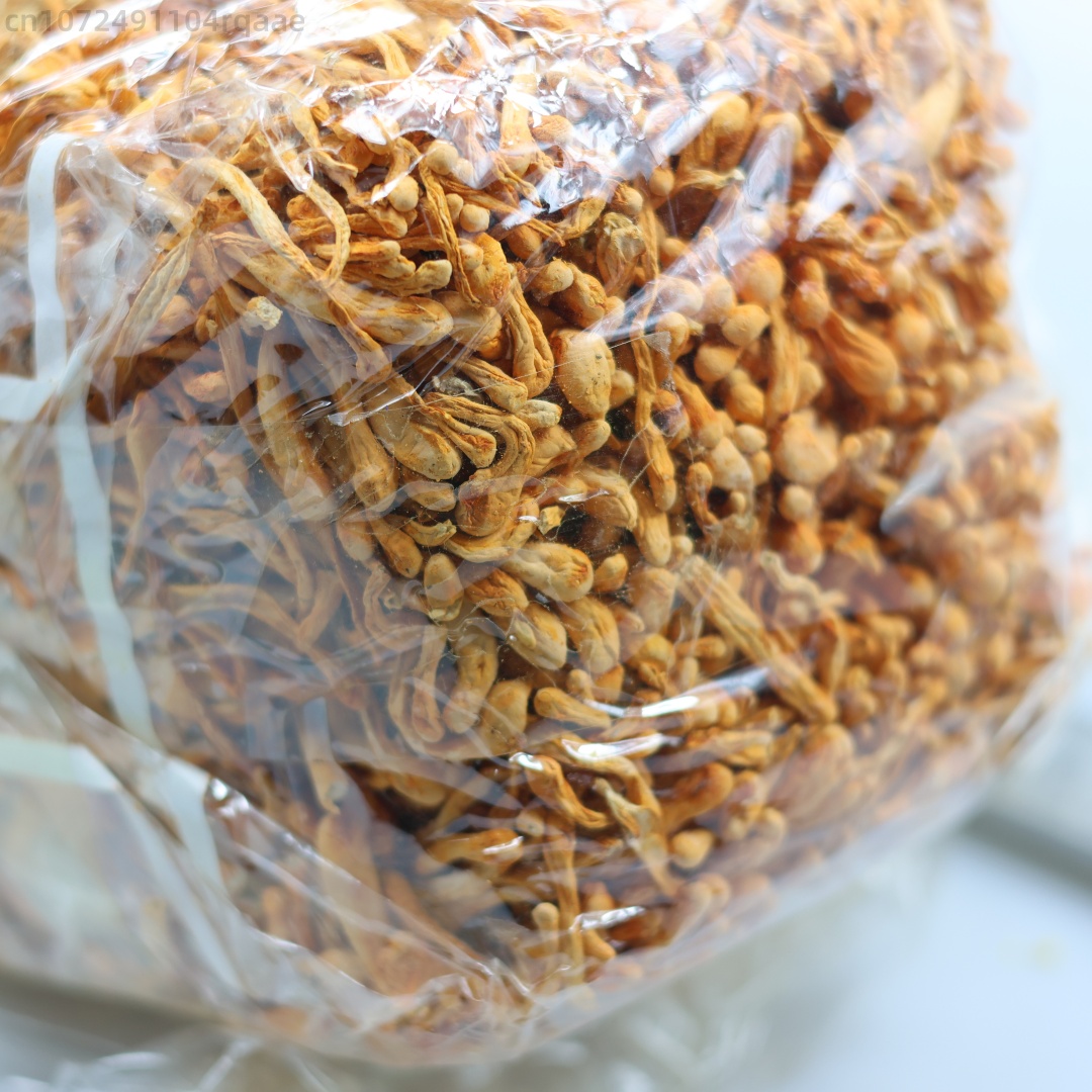 Fiore di cordyceps essiccato n - Chamomile Tea recensione e prezzo