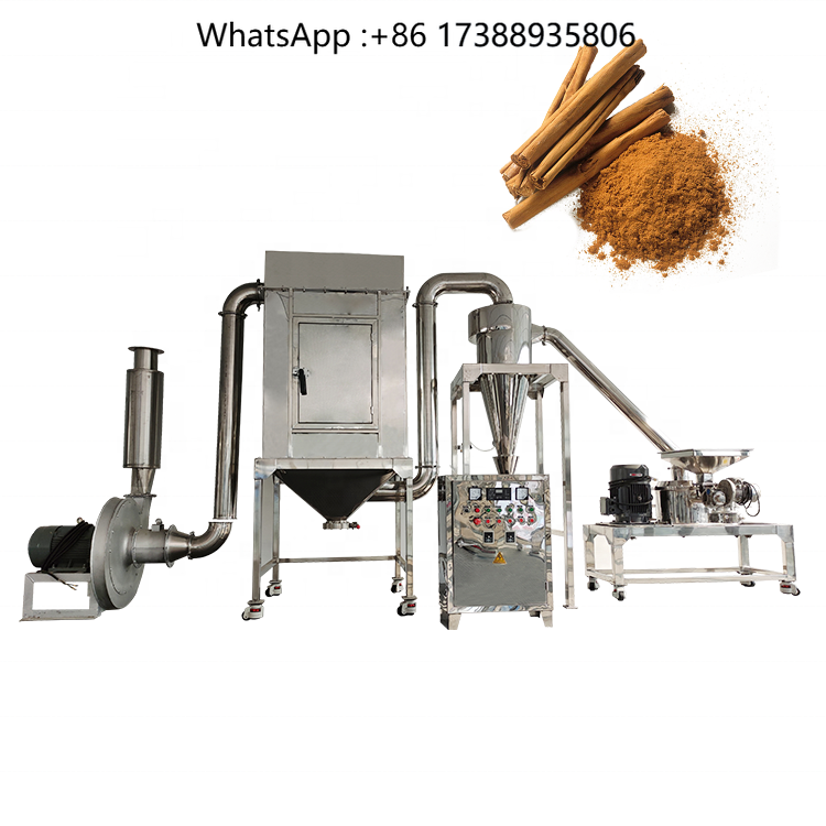 Macchina professionale per la  - Turmeric recensione e prezzo